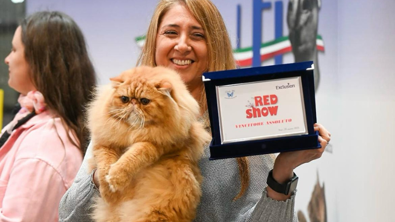 Makoto_vincitore_Felina_bari_2025